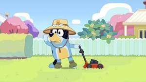 Bluey Epizóda 15