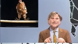 Les Guignols de l'info Epizóda 22
