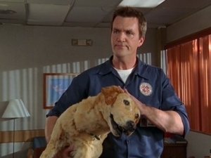 Scrubs Epizóda 13
