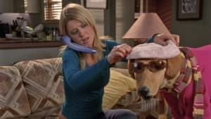 Scrubs Epizóda 11