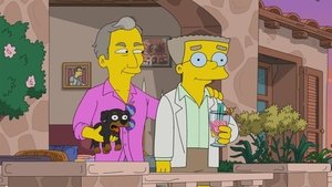 Simpsonovci Epizóda 8