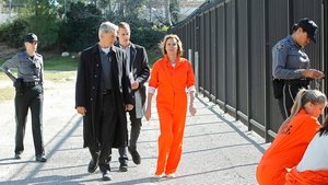 NCIS: Námorný vyšetrovací úrad Epizóda 17