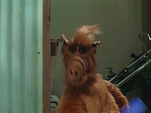 Alf Prepáč, strýko Albert