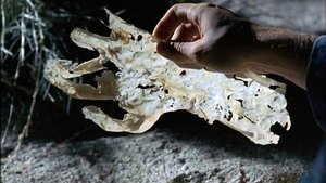 Roswell Epizóda 1