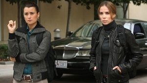 NCIS: Námorný vyšetrovací úrad Epizóda 8