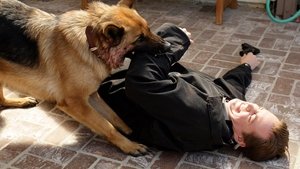 NCIS: Námorný vyšetrovací úrad Epizóda 13