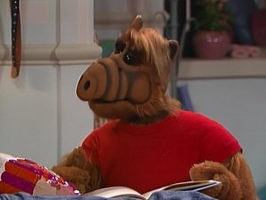 Alf V mene lásky