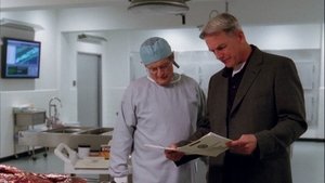 NCIS: Námorný vyšetrovací úrad Epizóda 18
