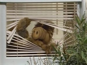 Alf Pilot
