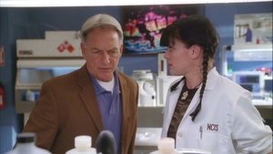 NCIS: Námorný vyšetrovací úrad Epizóda 20