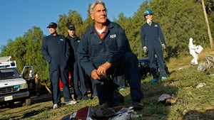 NCIS: Námorný vyšetrovací úrad Epizóda 8