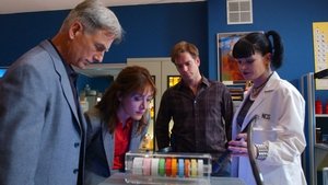 NCIS: Námorný vyšetrovací úrad Priznanie vo vzduchu
