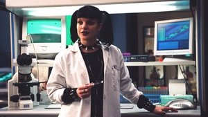 NCIS: Námorný vyšetrovací úrad Pravda je vo hviezdach