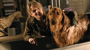 Smallville Epizóda 14