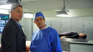 NCIS: Námorný vyšetrovací úrad Epizóda 15