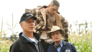 NCIS: Námorný vyšetrovací úrad Epizóda 9