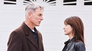 NCIS: Námorný vyšetrovací úrad Zvedavé oči