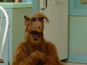 Alf Divoch