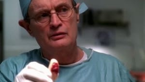 NCIS: Námorný vyšetrovací úrad Epizóda 13