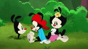 Animaniacs Epizóda 26