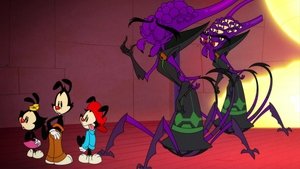Animaniacs Epizóda 34
