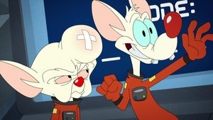 Animaniacs Epizóda 31