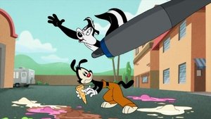 Animaniacs Epizóda 19