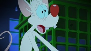 Animaniacs Epizóda 24