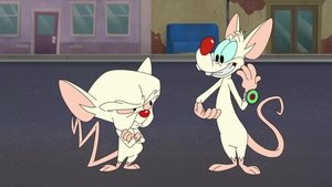 Animaniacs Epizóda 8