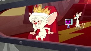 Animaniacs Epizóda 27