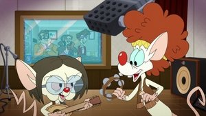 Animaniacs Epizóda 40
