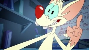 Animaniacs Epizóda 12