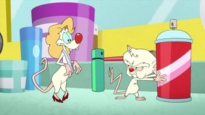 Animaniacs Epizóda 17
