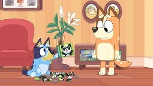 Bluey Sľuby