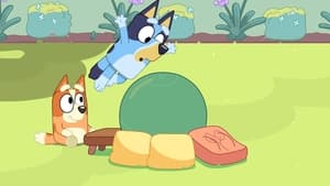 Bluey Prekážková dráha
