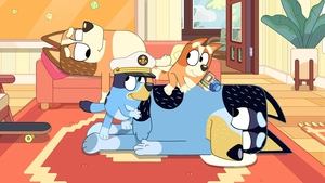 Bluey Pozorovanie veľrýb