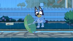 Bluey Dážď