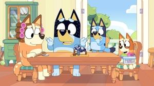 Bluey Rodinná porada