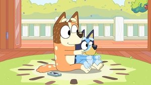 Bluey Šoférovanie