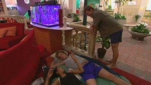 The Real World Epizóda 9