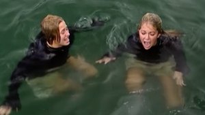 The Real World Epizóda 24