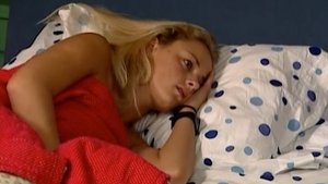 The Real World Epizóda 14