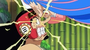 One Piece Epizóda 1008