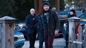 FBI: Most Wanted Epizóda 13
