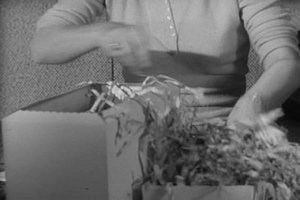 Alfred Hitchcock Presents Epizóda 23