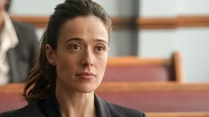 Chicago P.D. Epizóda 14