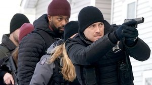 Chicago P.D. Epizóda 15