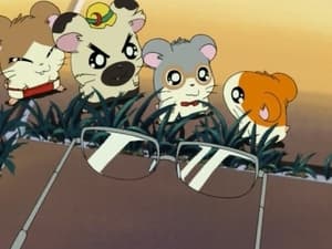Hamtaro Epizóda 29