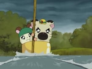 Hamtaro Epizóda 21