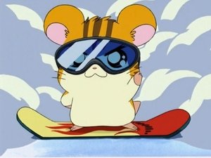 Hamtaro Epizóda 27